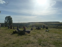 Meredith Music Festival 2013