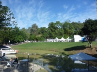 Splendour In The Grass 2010