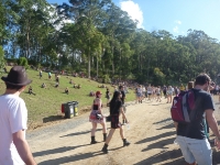 Splendour In The Grass 2010