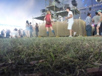 Splendour In The Grass 2010