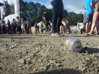 Splendour In The Grass 2010