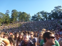 Splendour In The Grass 2010