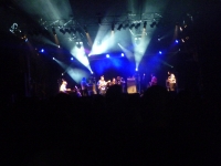 Splendour In The Grass 2010